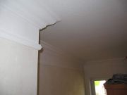 IMG 0399